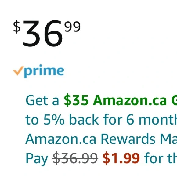 Small Dog carrier - Picture 6 of 6